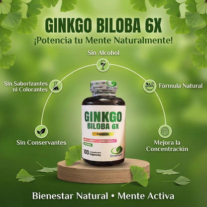 Ginkgo Biloba 6X