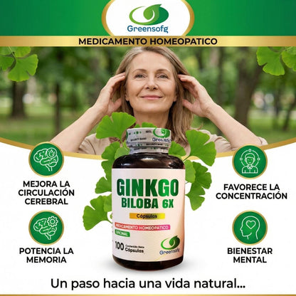 Ginkgo Biloba 6X