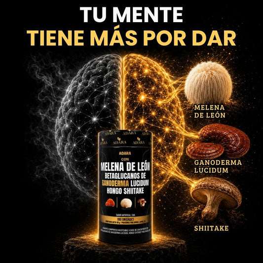 Melena de León + Ganoderma + Shiitake