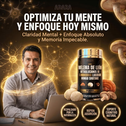 Melena de León + Ganoderma + Shiitake