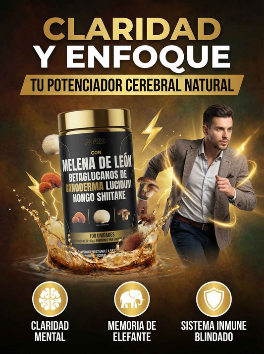 Melena de León + Ganoderma + Shiitake