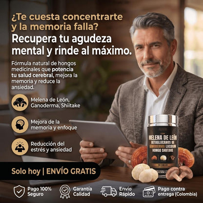 Melena de León + Ganoderma + Shiitake